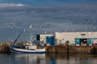 Port de Saint-Guénolé, Finistère Sud