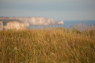 Fécamp, Seine-Maritime