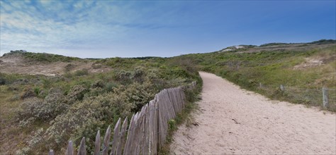 Quend (Baie de Somme, France), site de Belle Dune