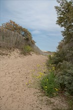 Quend (Baie de Somme, France), site de Belle Dune
