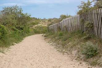 Conservation area of Belle Dune in Quend