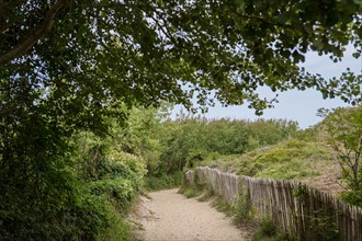 Quend (Baie de Somme, France), site de Belle Dune