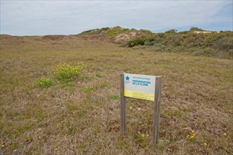 Quend (Baie de Somme, France), site de Belle Dune