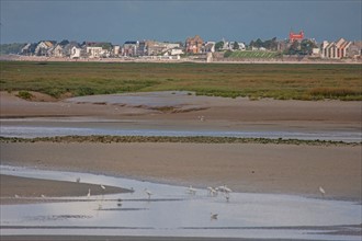 Saint-Valery-sur-Somme (Baie de Somme, France)