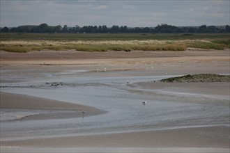 Le Crotoy (Baie de Somme, France)