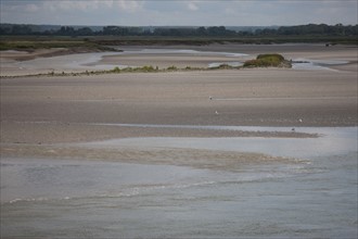 Le Crotoy (Baie de Somme, France)