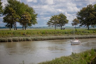 Saint-Valery-sur-Somme (Baie de Somme, France)