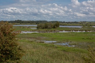 Le Crotoy (Baie de Somme, France)
