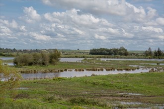 Le Crotoy (Baie de Somme, France)