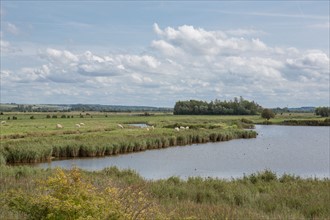 Le Crotoy (Baie de Somme, France)