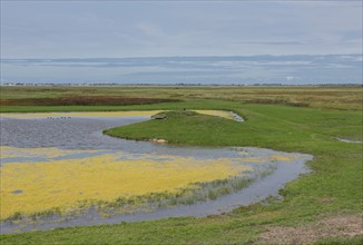 Le Crotoy (Baie de Somme, France)