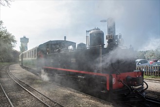 Le Crotoy (Baie de Somme, France), train touristique à vapeur