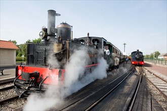 Le Crotoy (Baie de Somme, France), train touristique à vapeur