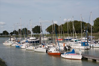 Saint-Valery-sur-Somme (Baie de Somme, France)