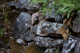 Parc des Grands Causses, Brousse-le-Château, détail d'un mur en pierre