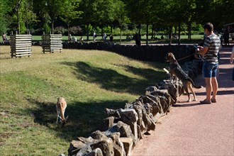 Lyon, Parc de la Tête d'Or, animaux