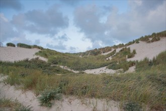 Le Touquet Paris Plage, dunes au dessus de la plage