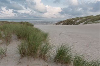 Le Touquet Paris Plage, dunes au dessus de la plage