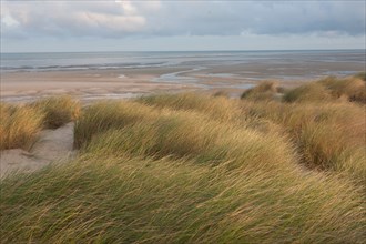 Le Touquet Paris Plage, dunes au dessus de la plage