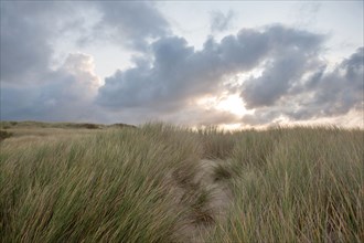 Le Touquet Paris Plage, dunes au dessus de la plage