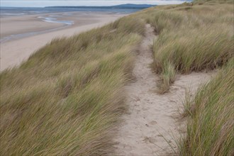 Le Touquet Paris Plage, dunes au dessus de la plage