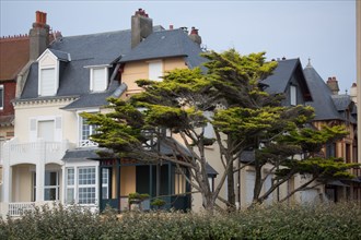 Le Touquet Paris Plage, tree and seafront villas