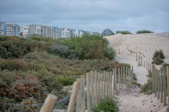 Le Touquet Paris Plage, dunes au dessus de la plage