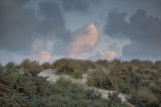 Le Touquet Paris Plage, dunes au dessus de la plage