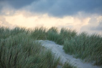 Le Touquet Paris Plage, dunes au dessus de la plage