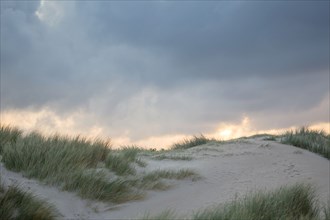 Le Touquet Paris Plage, dunes au dessus de la plage