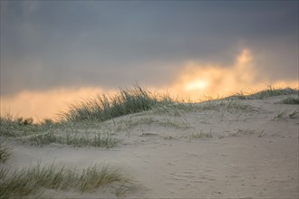 Le Touquet Paris Plage, dunes au dessus de la plage