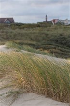 Le Touquet Paris Plage, dunes au dessus de la plage