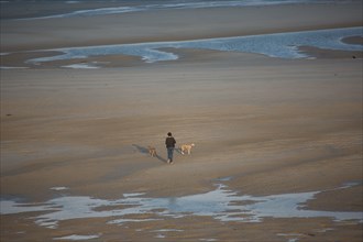 Le Touquet Paris Plage, woman walking her dogs on the beach