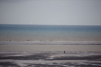 Le Touquet Paris Plage, the beach at low tide