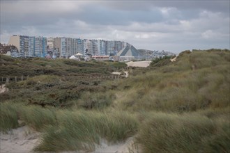 Le Touquet Paris Plage, dunes au dessus de la plage