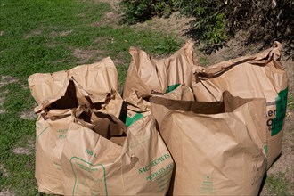 Cucq (Cote d'Opale), green waste bags