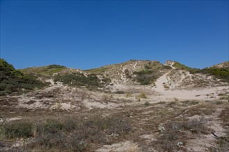 Cucq  Stella Plage (Cote d'Opale), dunes of Mayville