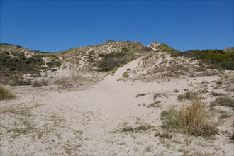 Cucq  Stella Plage (Cote d'Opale), dunes of Mayville