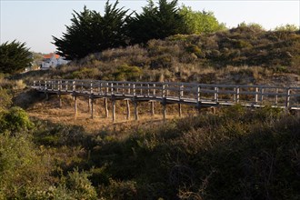 Merlimont Plage, sentier de découverte de la dune parabolique