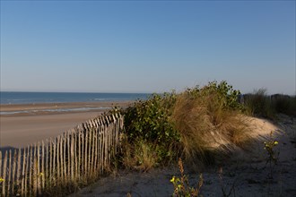 Merlimont Plage, sentier de découverte de la dune parabolique