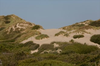 Merlimont Plage, sentier de découverte de la dune parabolique