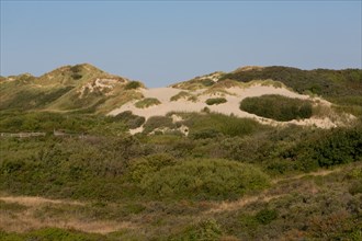 Merlimont Plage, sentier de découverte de la dune parabolique