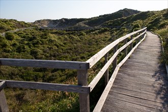 Merlimont Plage, sentier de découverte de la dune parabolique