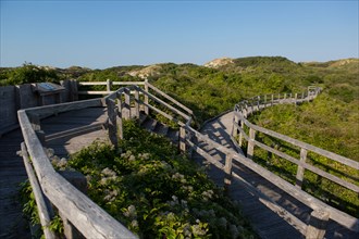 Merlimont Plage, educational trail