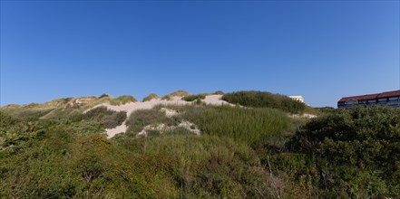 Merlimont Plage, dune on the seafront