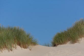 Merlimont Plage, bande dunaire sur le front de mer