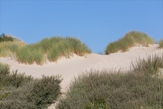 Merlimont Plage, dune on the seafront