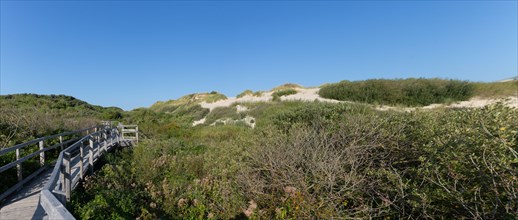 Merlimont Plage, sentier de découverte de la dune parabolique