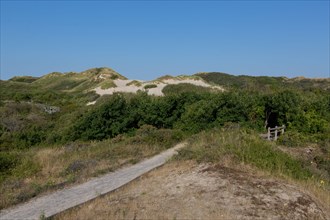 Merlimont Plage, sentier de découverte de la dune parabolique