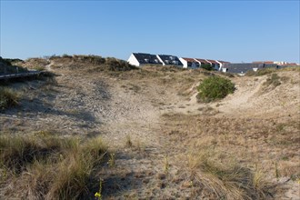 Merlimont Plage, sentier de découverte de la dune parabolique